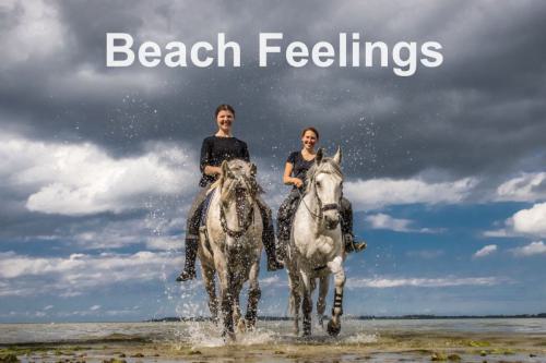 Beach Feelings